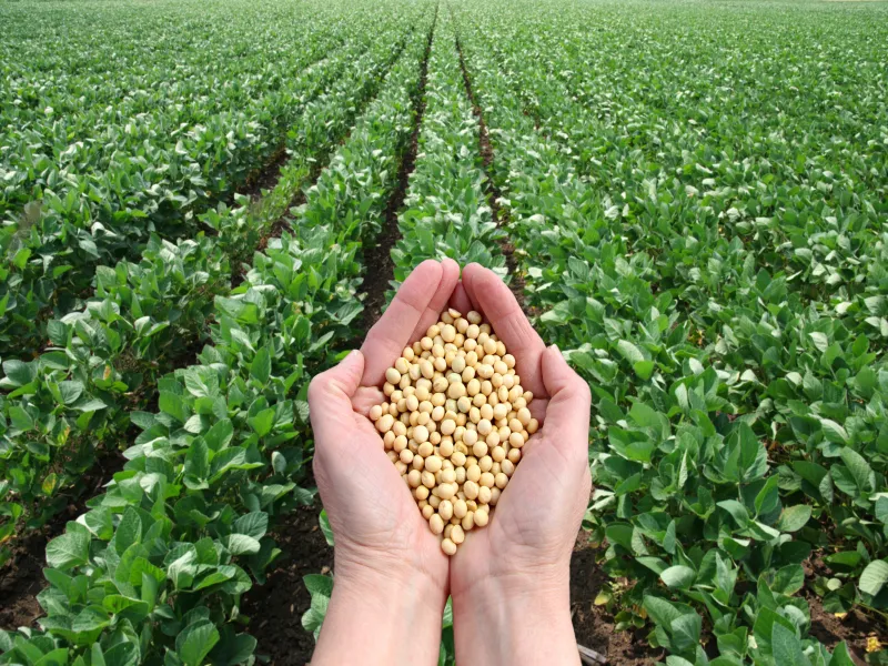 agrotec